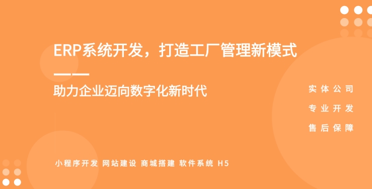 ERP系統(tǒng)開發(fā)